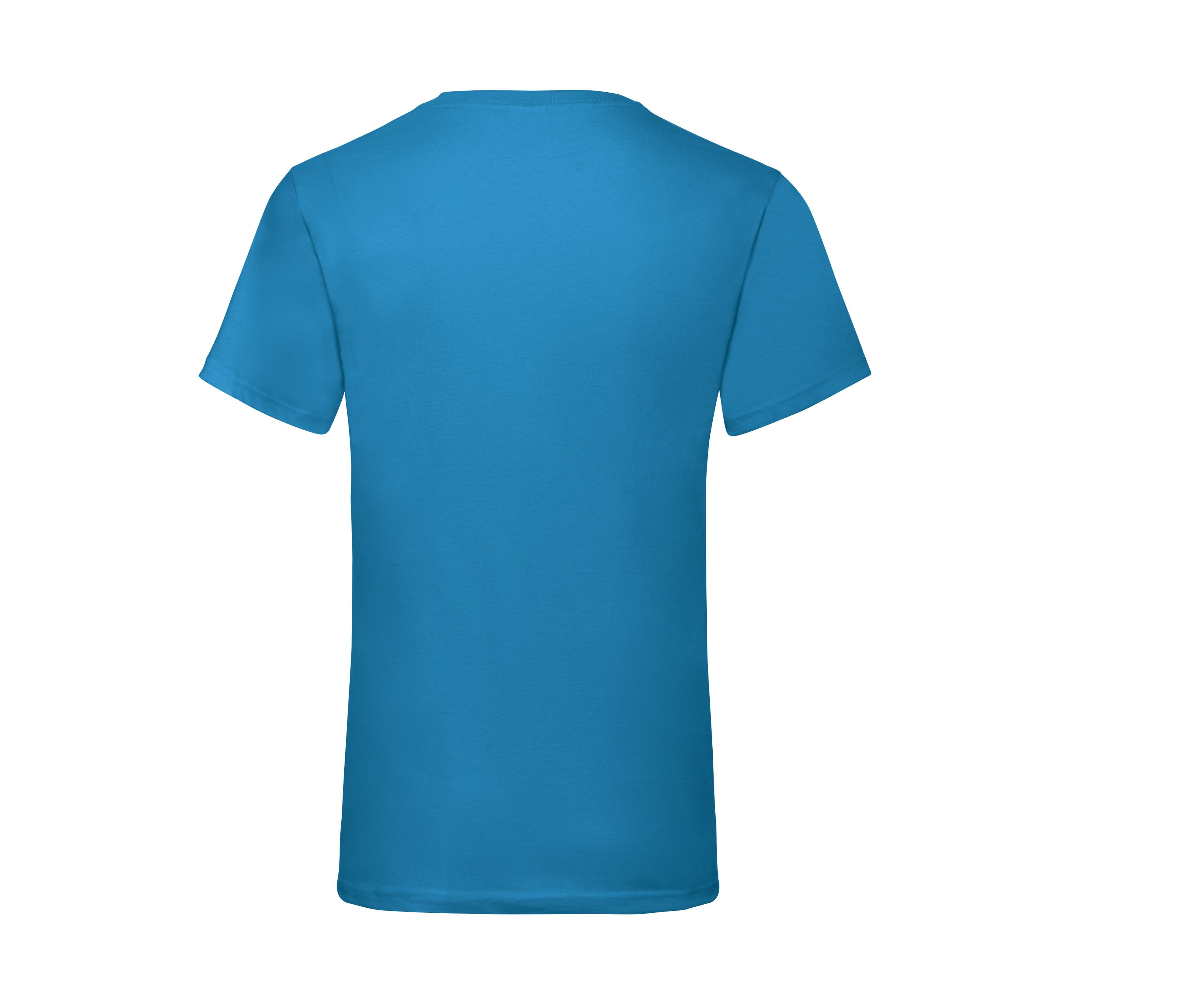 VALUEWEIGHT V-NECK T